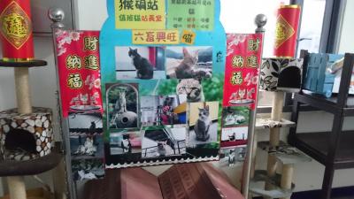 ノープラン 台北5日間 その1 猫との出会い