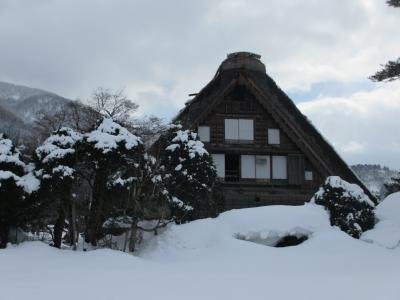 2015年　カニカニツアー2日目　白川郷を展望台から眺め、午後から散策をしました。