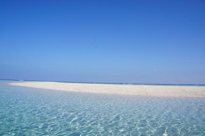 寒さからの逃亡、与論島の旅。 百合ヶ浜を訪ねて