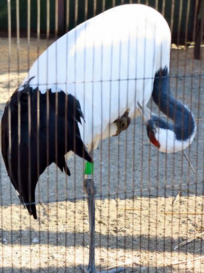 虎太郎ページ　ザル３点