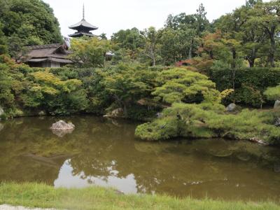 ２０１２年８月京都旅行③　仁和寺　妙心寺　編