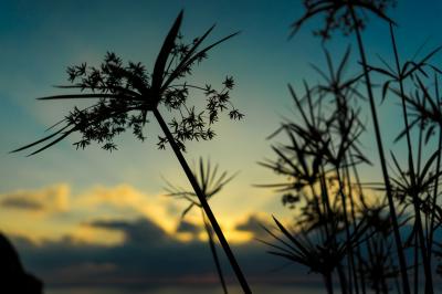 家族で会員制リゾート東急ハーヴェスト熱海伊豆山一泊旅行2