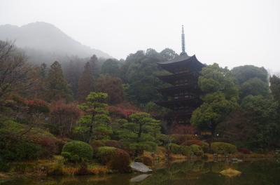 山口県山口市　山口市街地散策～菜香亭、瑠璃光寺から湯田温泉へ(2015年1月)