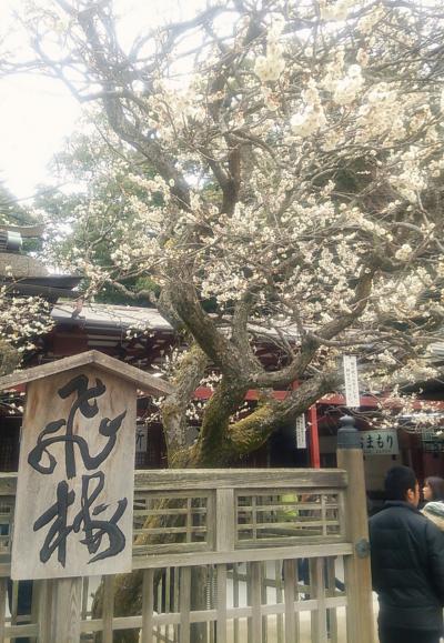 太宰天満宮でレア梅ヶ枝餅