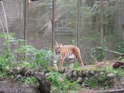 :)台湾8泊9日の旅 4日目