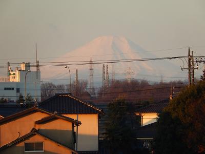 ふじみ野市から久しぶりに見られた朝焼け富士
