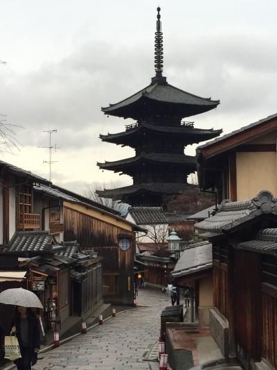 京都☆癒しのひとり旅。ホテルサンライン京都祇園四条 その3