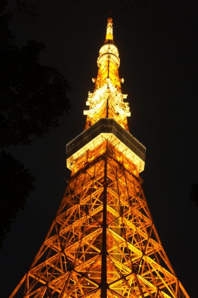 東京マラソン応援ツアー