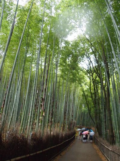 京都を楽しむ京都の旅　後半戦