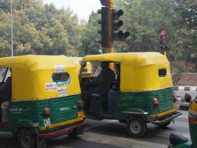 2015/2 弾丸初インド!タージマハルとガンジス河 その4