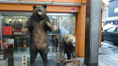 どこかに行きたい病→そうだ、小樽に行こう！！