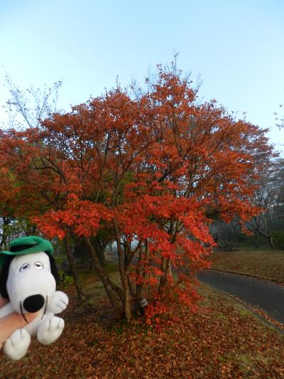 『ホテル蒜山ヒルズ』宿泊記◆2014年10月／山歩き仲間と紅葉の大山へ≪プロローグ≫