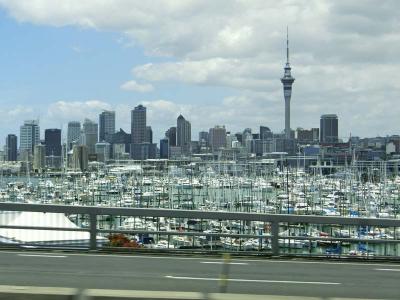 ニュージーランドでお正月＠（６）オークランド・最終