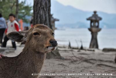 低コストで周る”大麻比古神社“”札所めぐり”と”厳島神社＆宮島”と”出雲大社＆日御碕”（厳島神社編）