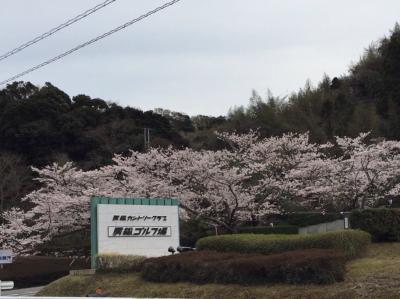 千葉県…日本で2番目にゴルフ場が多いんです！