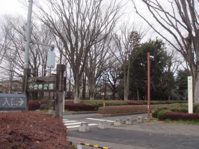 春はすぐそこまで来ています。小金井公園