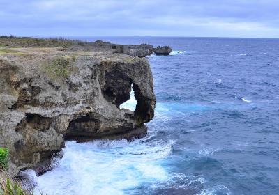 早春賦 沖縄紀行①西海岸エリア（万座毛～ナゴパイナップルパーク）