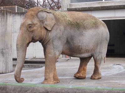 桐生のまちを散策してみました ④　桐生が丘動物園