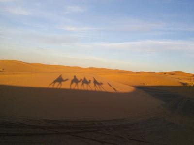 長いようであっという間なモロッコ17日間～砂漠へ２