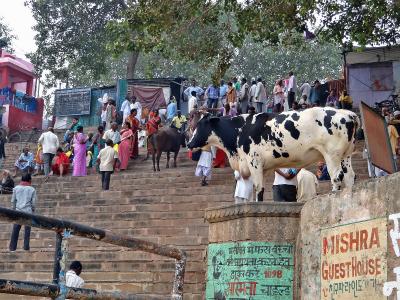 インド１周の旅 （２） バラナシ