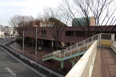 神奈川県立フラワーセンター大船植物園－2015年春