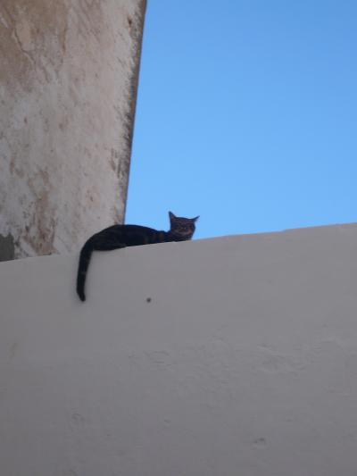 長期スペイン南部旅④アルコス編 街中&食べ物など