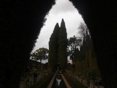 スペイン~モロッコ 2013-2014 @グラナダ