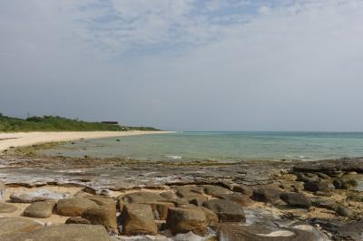 冬の沖縄　八重山旅行（石垣島、小浜島、西表島、由布島）