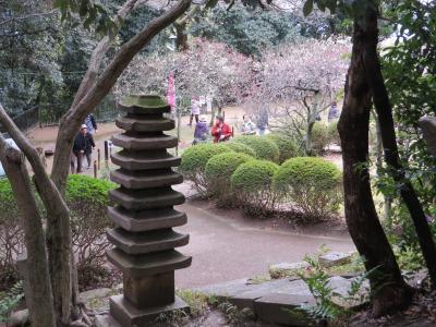 淀川河川敷を枚方公園までチャリで走る、意賀美梅林で梅を楽しむ。