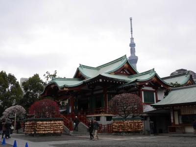 『亀戸天神社の梅まつり』へ☆フラ~リお散歩♪