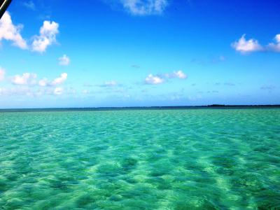  初めてHawaii　3泊5日　④　Day3   サンドバー