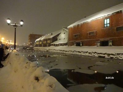 バレンタインは大好きなふたりとともに　雪の札幌・小樽旅