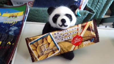 新婚旅行で南米へ