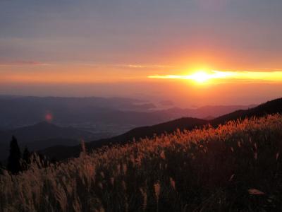 みかんに食い倒れ、和歌山の旅。～有田・湯浅～