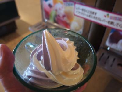 １０．2015年沖縄旅行（リザンシーパークホテルのフルーツバイキング）