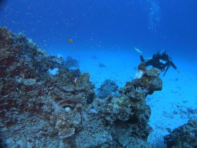 石垣ブルーに魅せられて