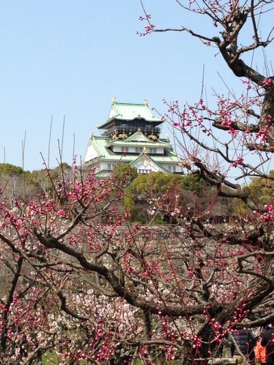 大阪城梅林と天神橋商店街の食べ歩き