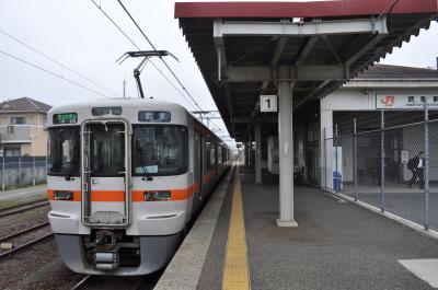 2015年3月おとなびパスの旅3-3（武豊線電化後初乗車）