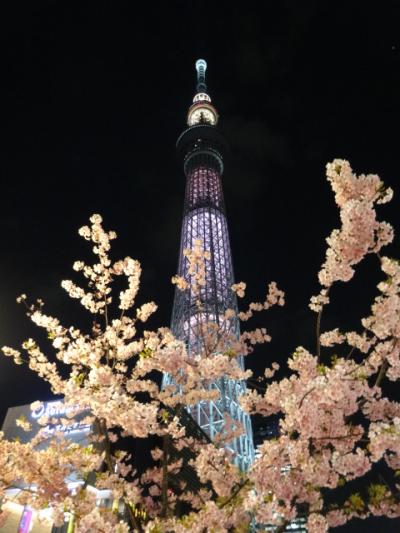 河津桜とスカイツリー