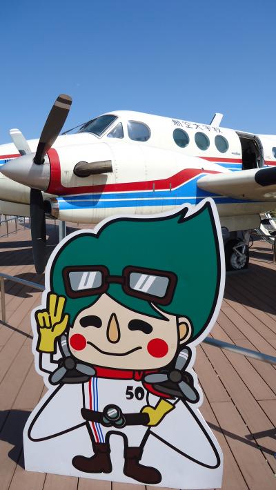 弾丸日帰り～宮崎プチ観光の旅♪　一人『温泉・たまゆらの湯』でリフレッシュ(^O^)　 今日もまたJAL&JACにて6フライト！ (2015年3月)