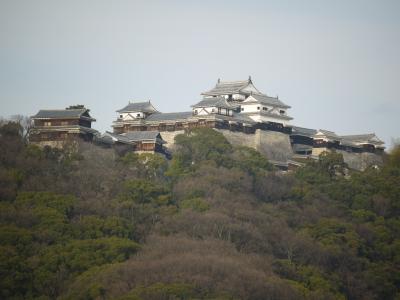 2015年　四国・松山への旅　お泊りはホテルＪＡＬシティ松山です