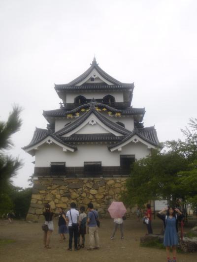 運動不足解消！？雨の中をひたすら歩いた彦根城＆多賀大社