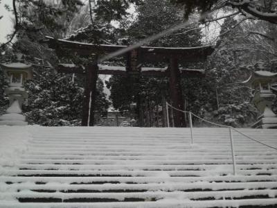 賢い函館旅行にする為に