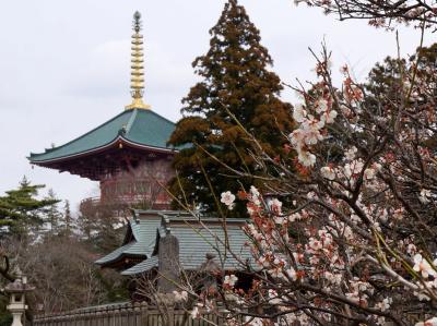 成田山参道、新勝寺と、佐原雛舟、ダックツアー　（１）