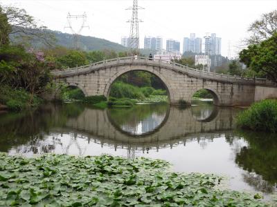 深セン羅湖区★深セン貯水池に隣接する東湖公園さんぽ