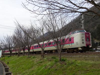 備中高梁で特急やくもを写真に撮りました