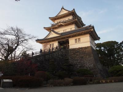 梅の時期の小田原城に寄ってみました