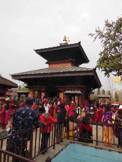 ネパール旅行８（ポカラ１）シヴァラトリとポカラの寺