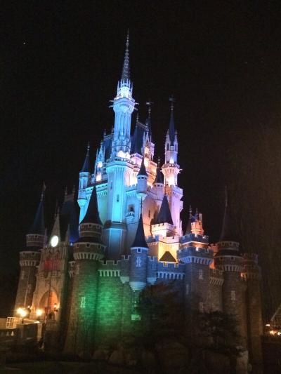 どうしても体験したくて…