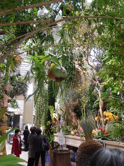 高島屋の一階正面玄関フロアーが植物園に変わった！
